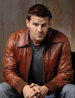   (David Boreanaz)