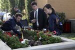 06x20 :: "The Pinocchio in the Planter"