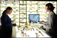 07x02_bonestv.ru_005 (600x400, 51 kБ...)