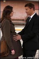 07x07_bonestv.ru_003 (435x653, 43 kБ...)